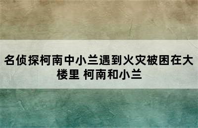 名侦探柯南中小兰遇到火灾被困在大楼里 柯南和小兰